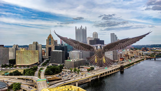 Pittsburgh Bird 4x6 print 5x7 matte for frame