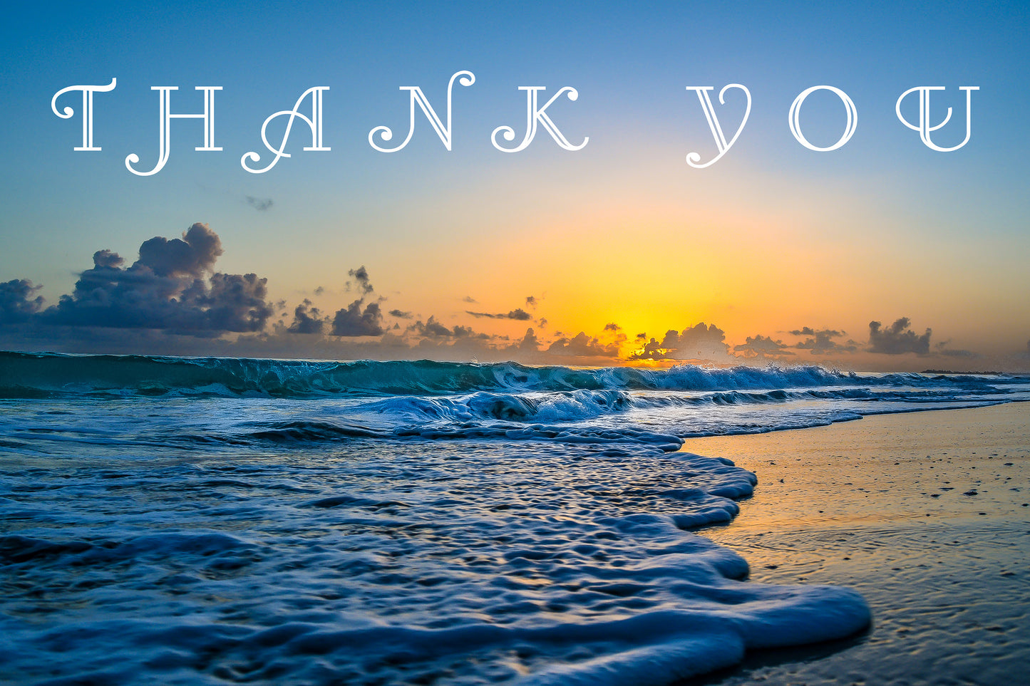 THANK YOU DIGITAL DOWNLOAD PICTURES