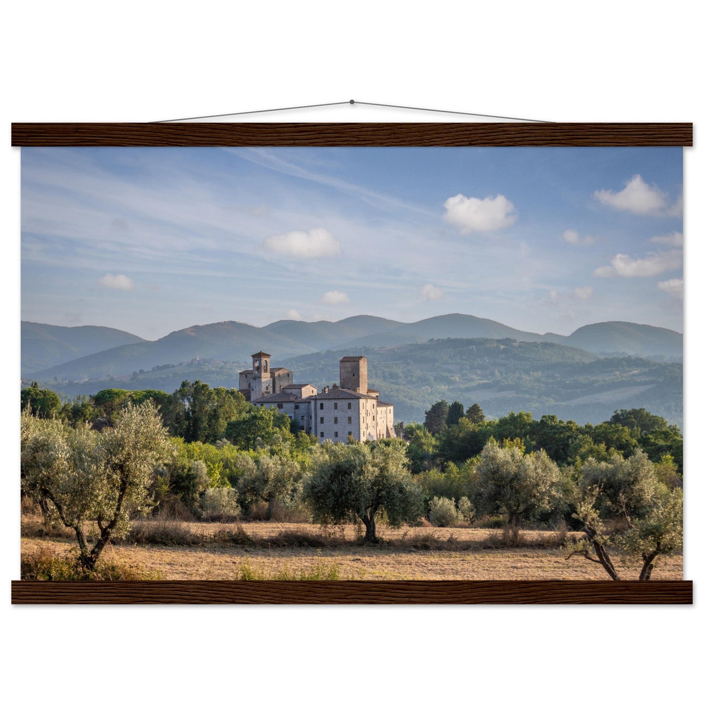 Premium Matte Paper Poster with Hanger