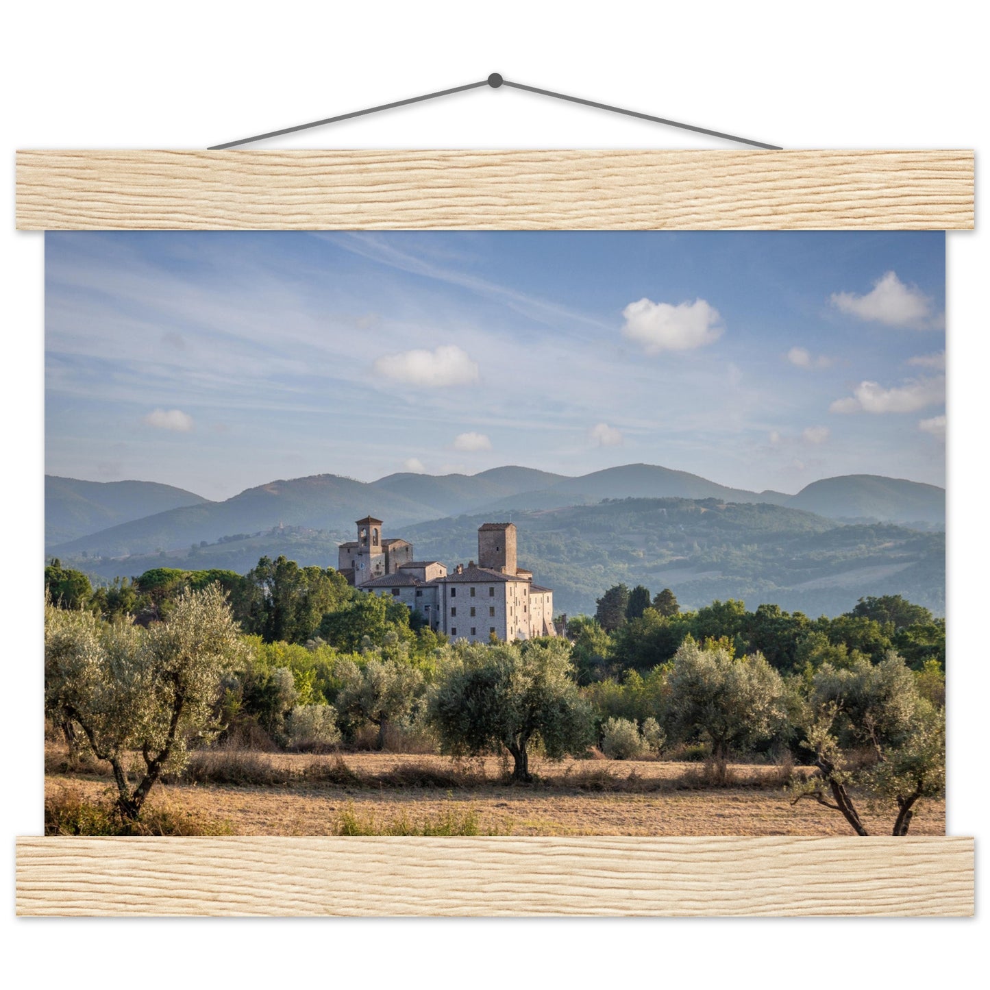 Premium Matte Paper Poster with Hanger