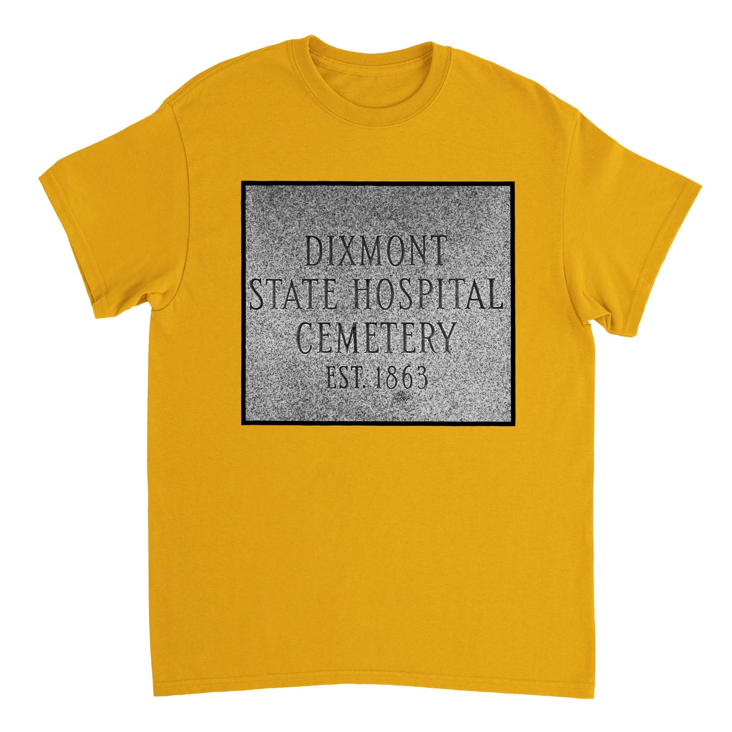 Heavyweight Unisex Crewneck T-shirt