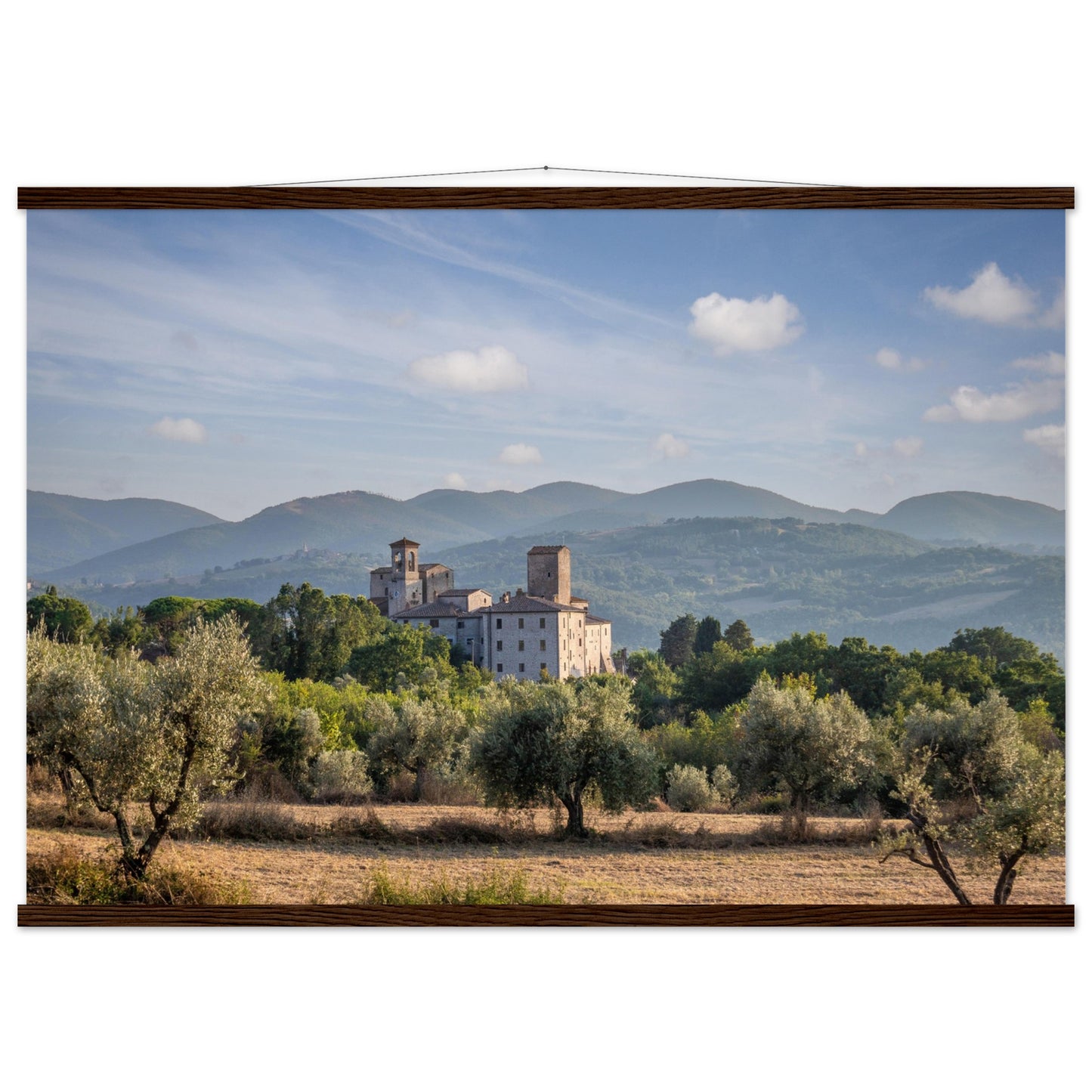 Premium Matte Paper Poster with Hanger