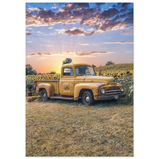 Aluminum Print Sunfower Truck