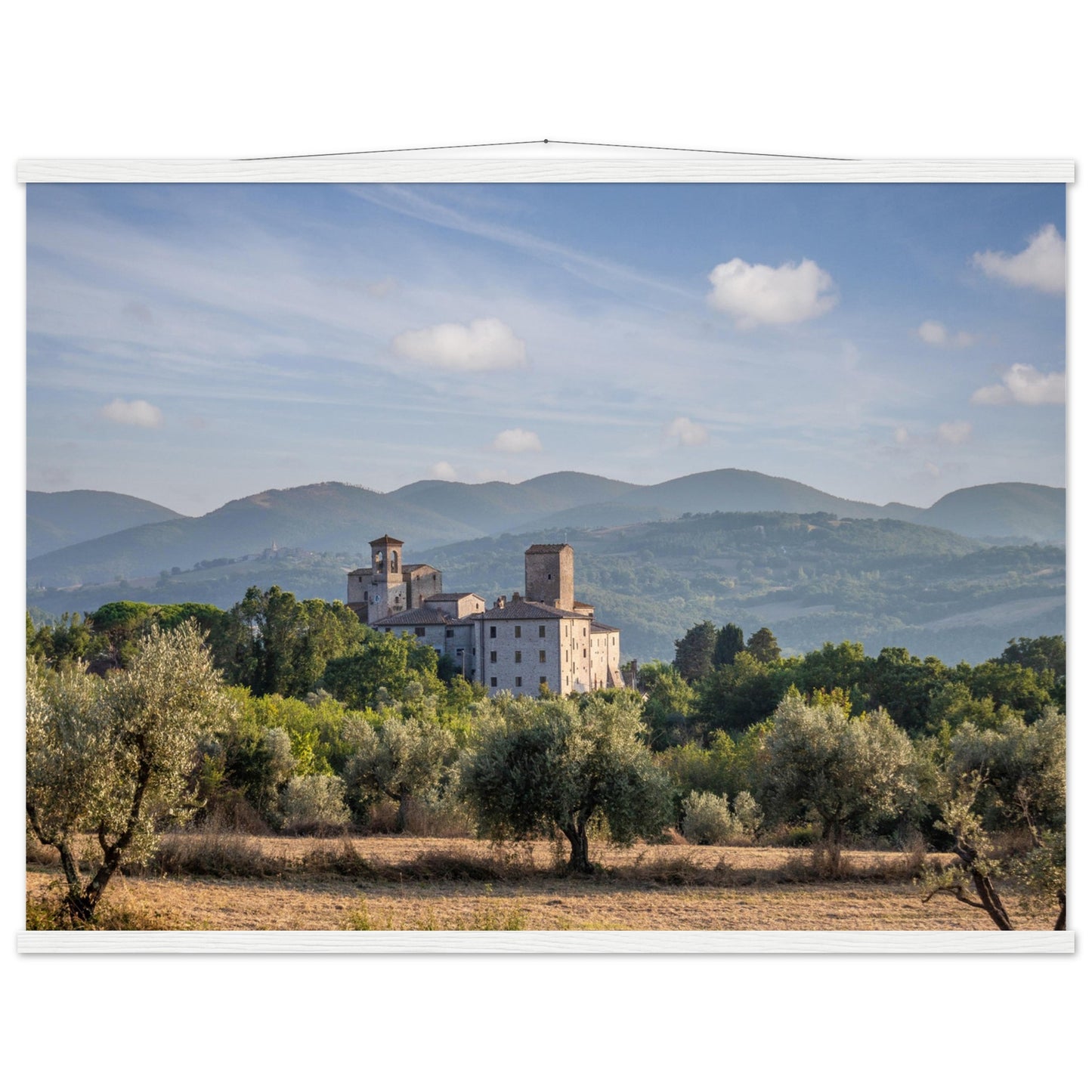 Premium Matte Paper Poster with Hanger