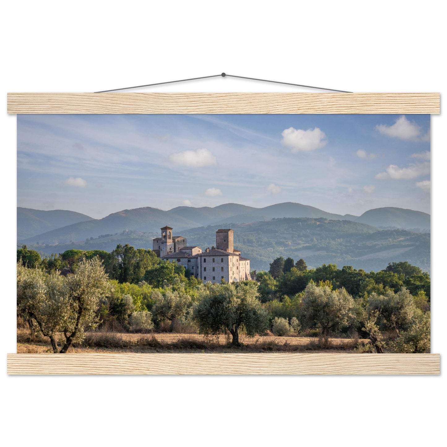 Premium Matte Paper Poster with Hanger