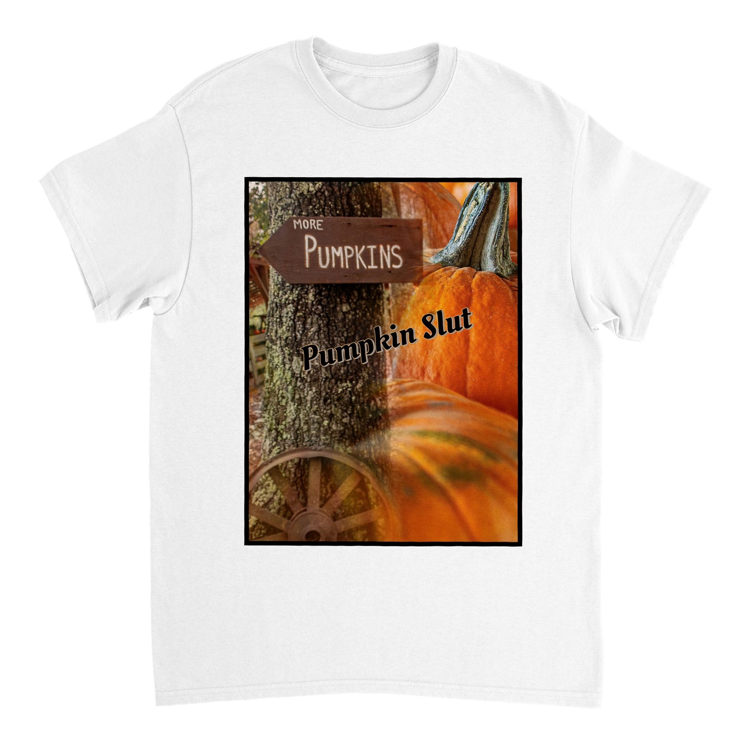 Heavyweight Unisex Crewneck T-shirt