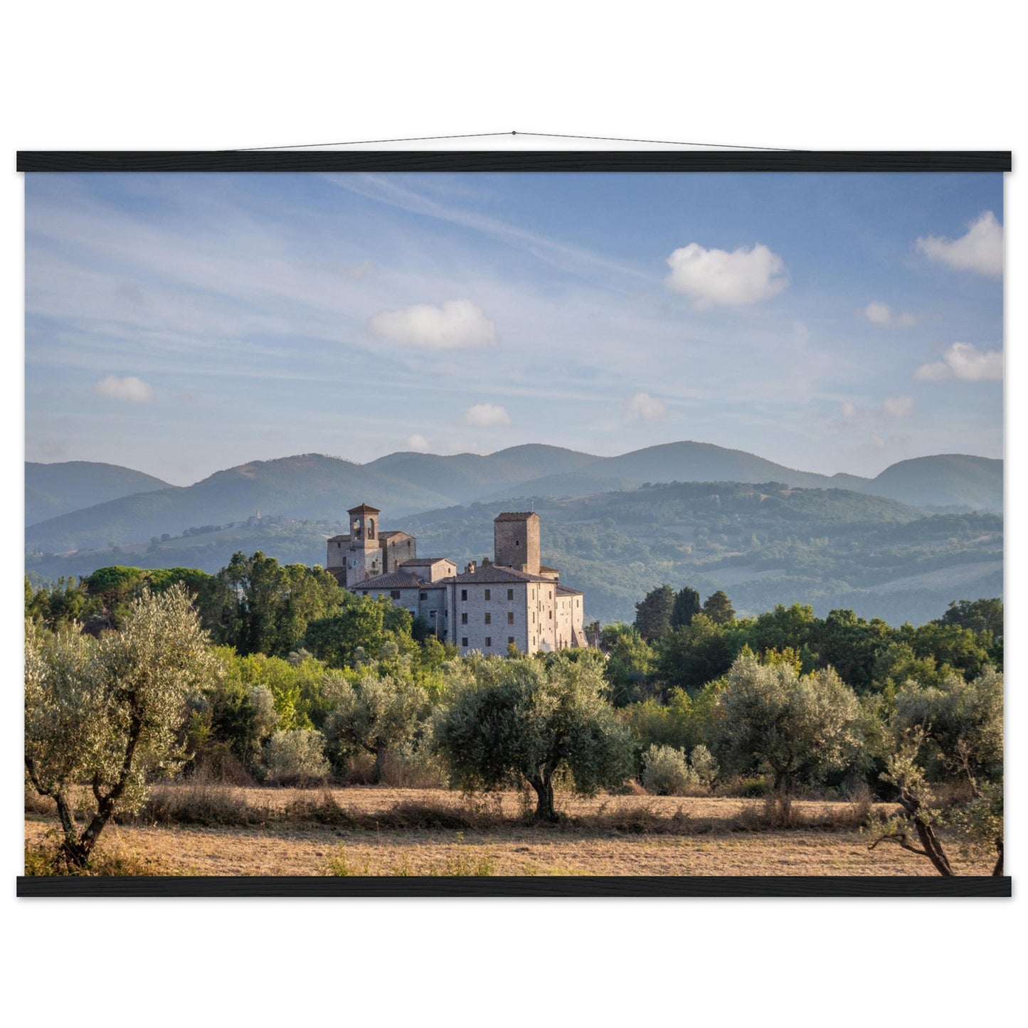 Premium Matte Paper Poster with Hanger