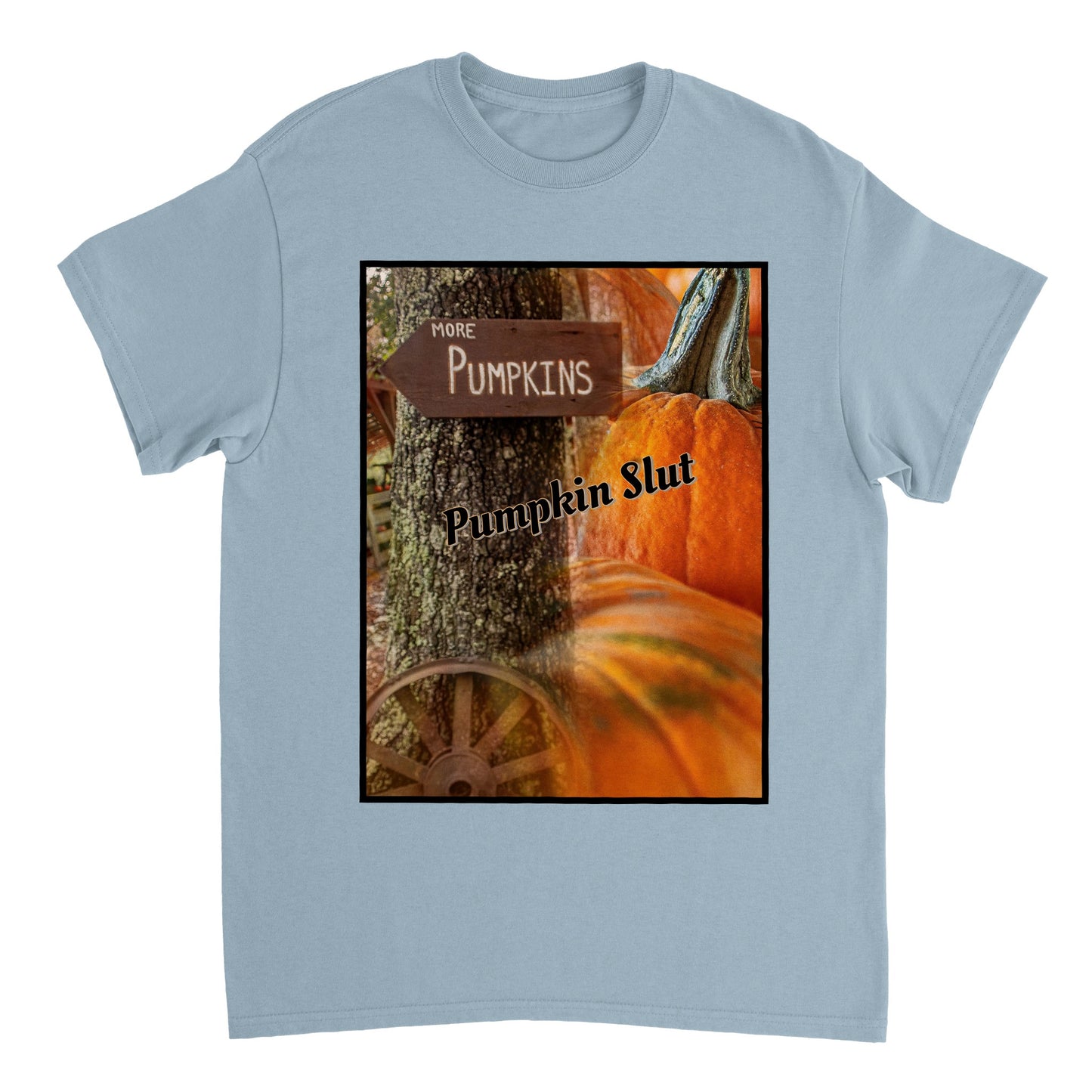 Heavyweight Unisex Crewneck T-shirt