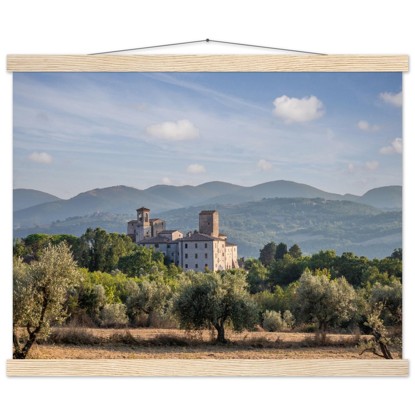Premium Matte Paper Poster with Hanger