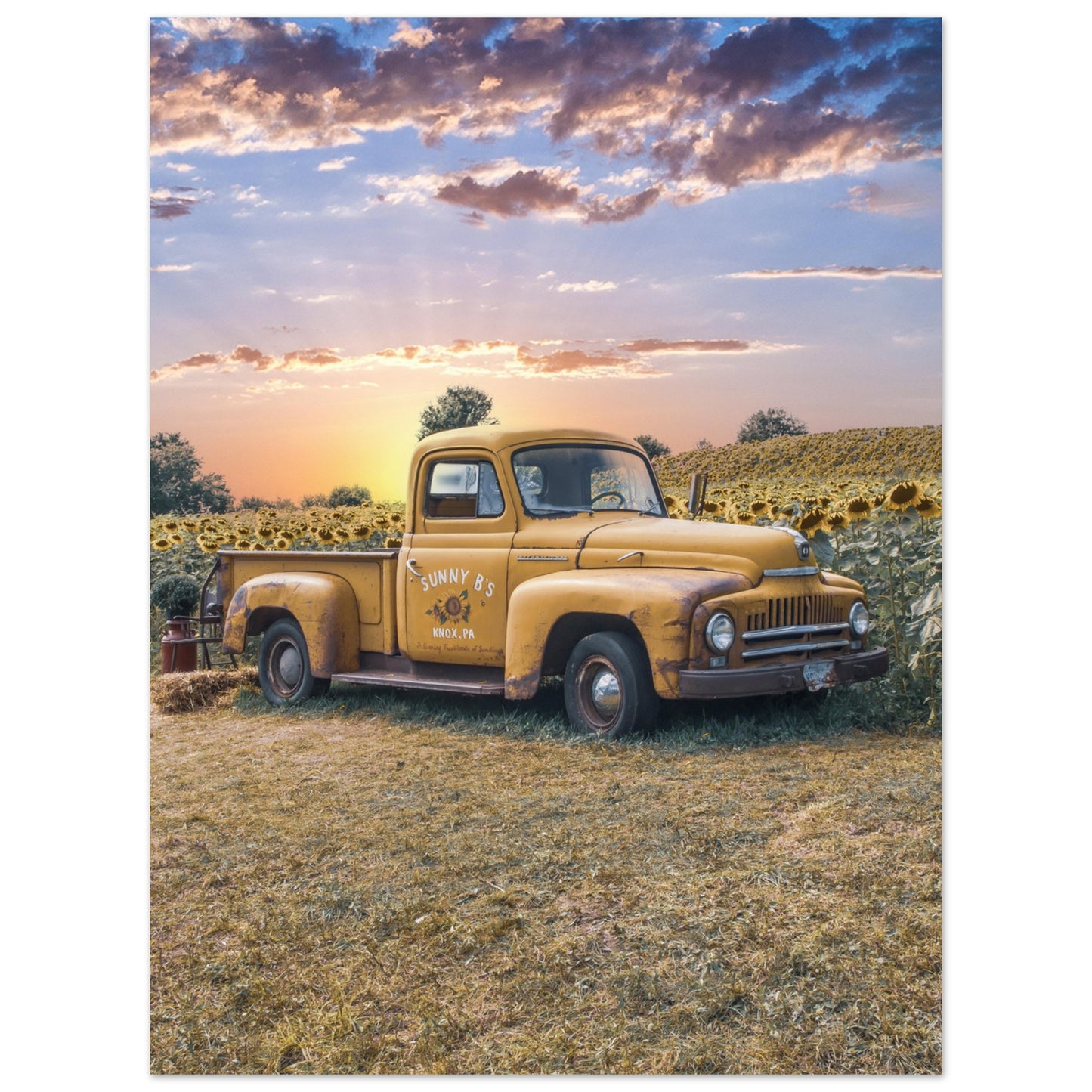 Aluminum Print Sunfower Truck