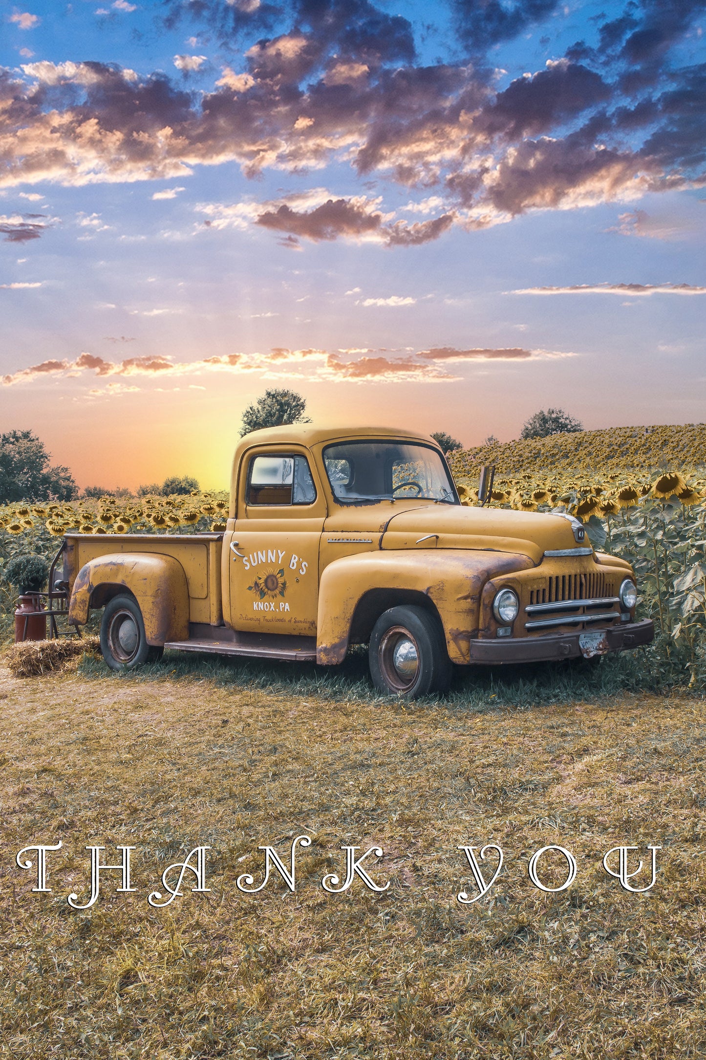 THANK YOU DIGITAL DOWNLOAD PICTURES