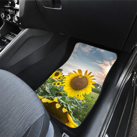 Front row car mats (2pcs)