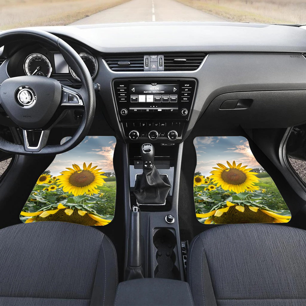 Front row car mats (2pcs)