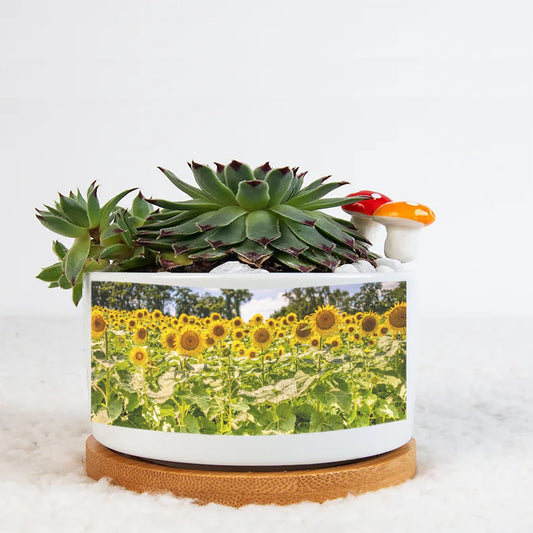 Sunflowers Flowerpot