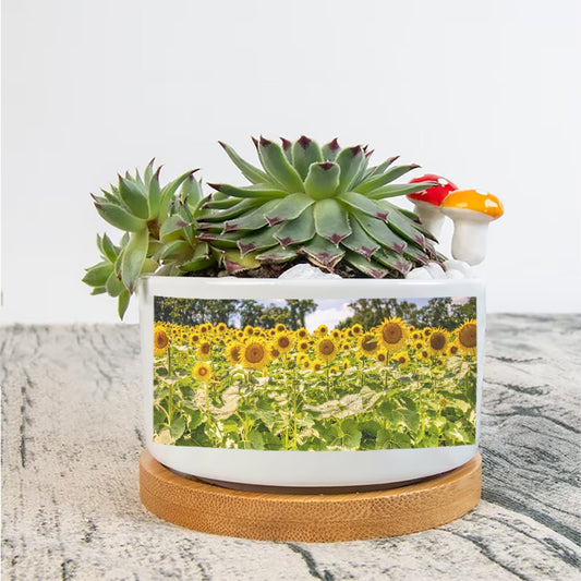Sunflowers Flowerpot
