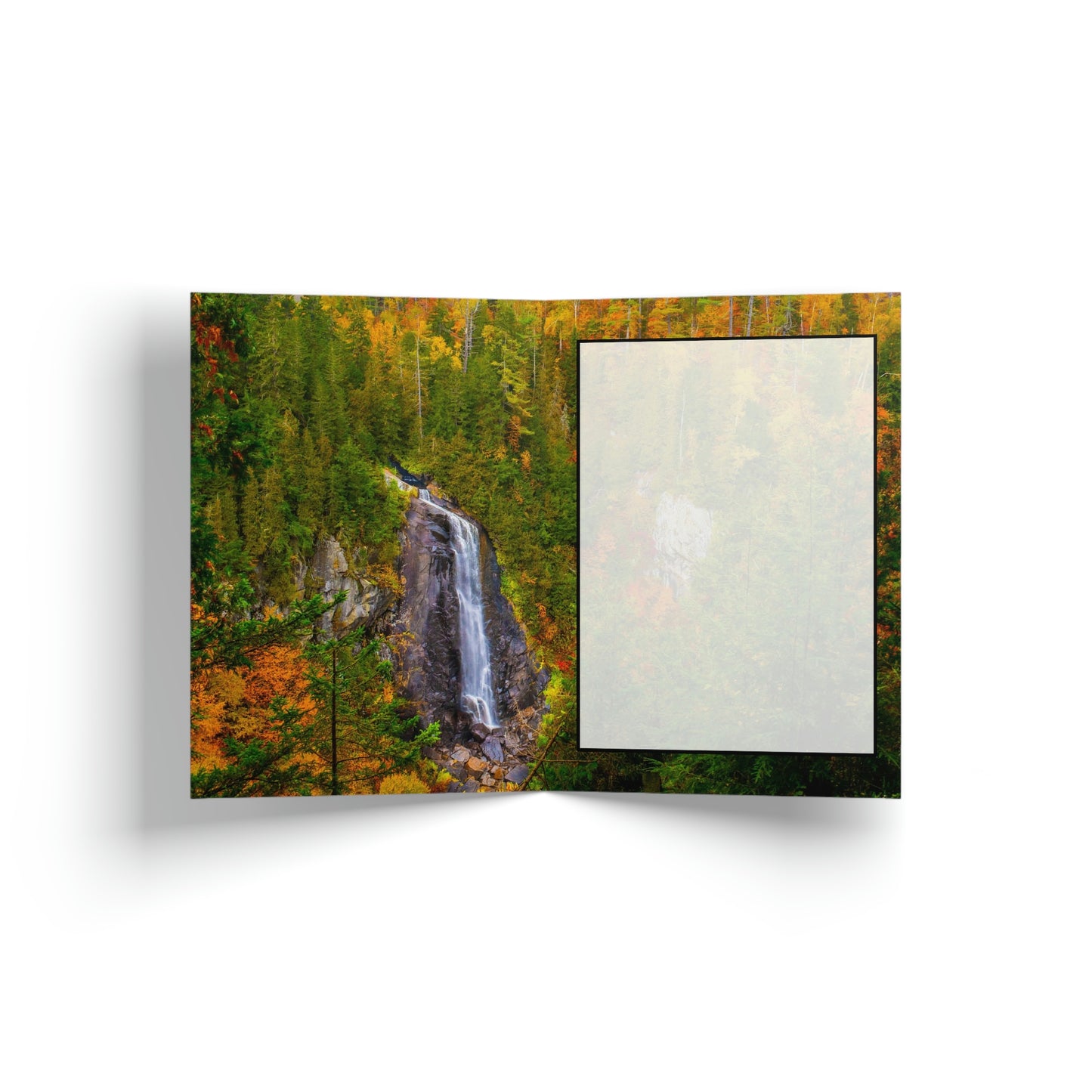 Greeting Cards