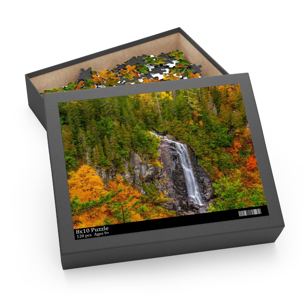 Puzzle (120, 252, 500-Piece)