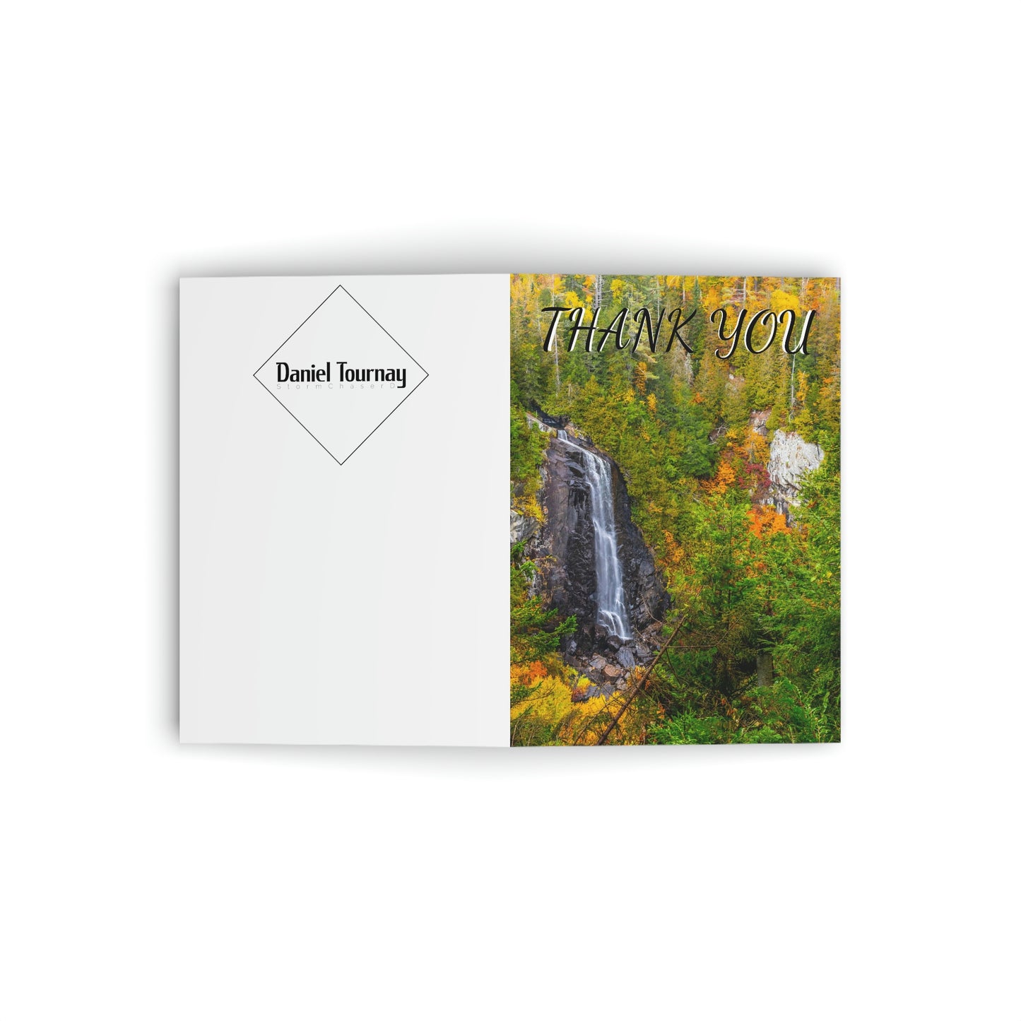 Greeting Cards