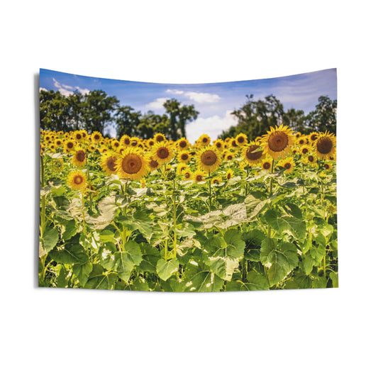 Indoor Wall Tapestries