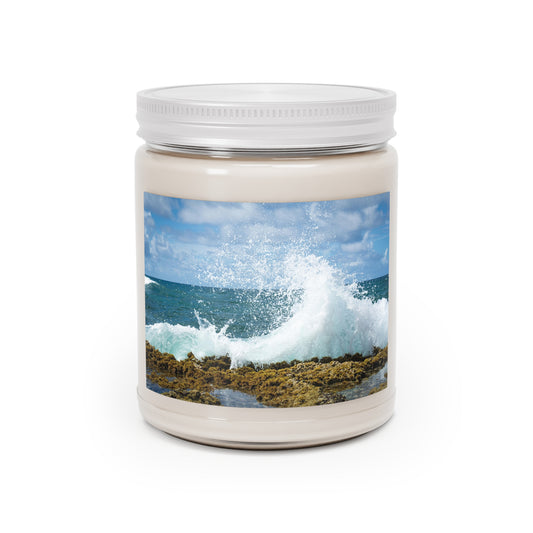 Scented Candles, 9oz