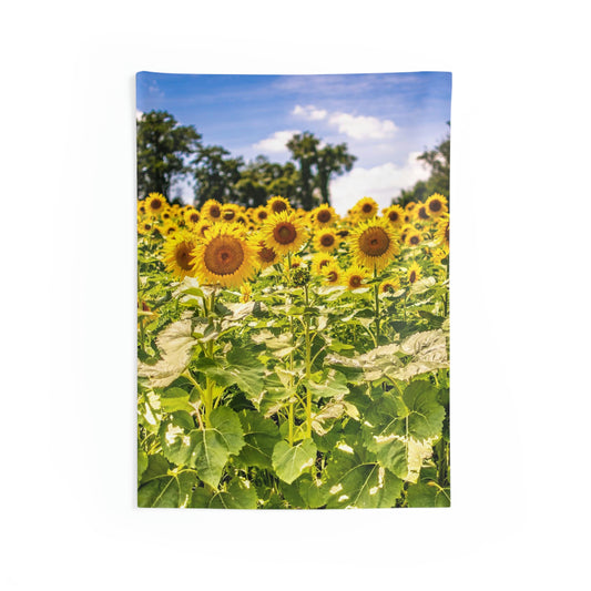 Indoor Wall Tapestries