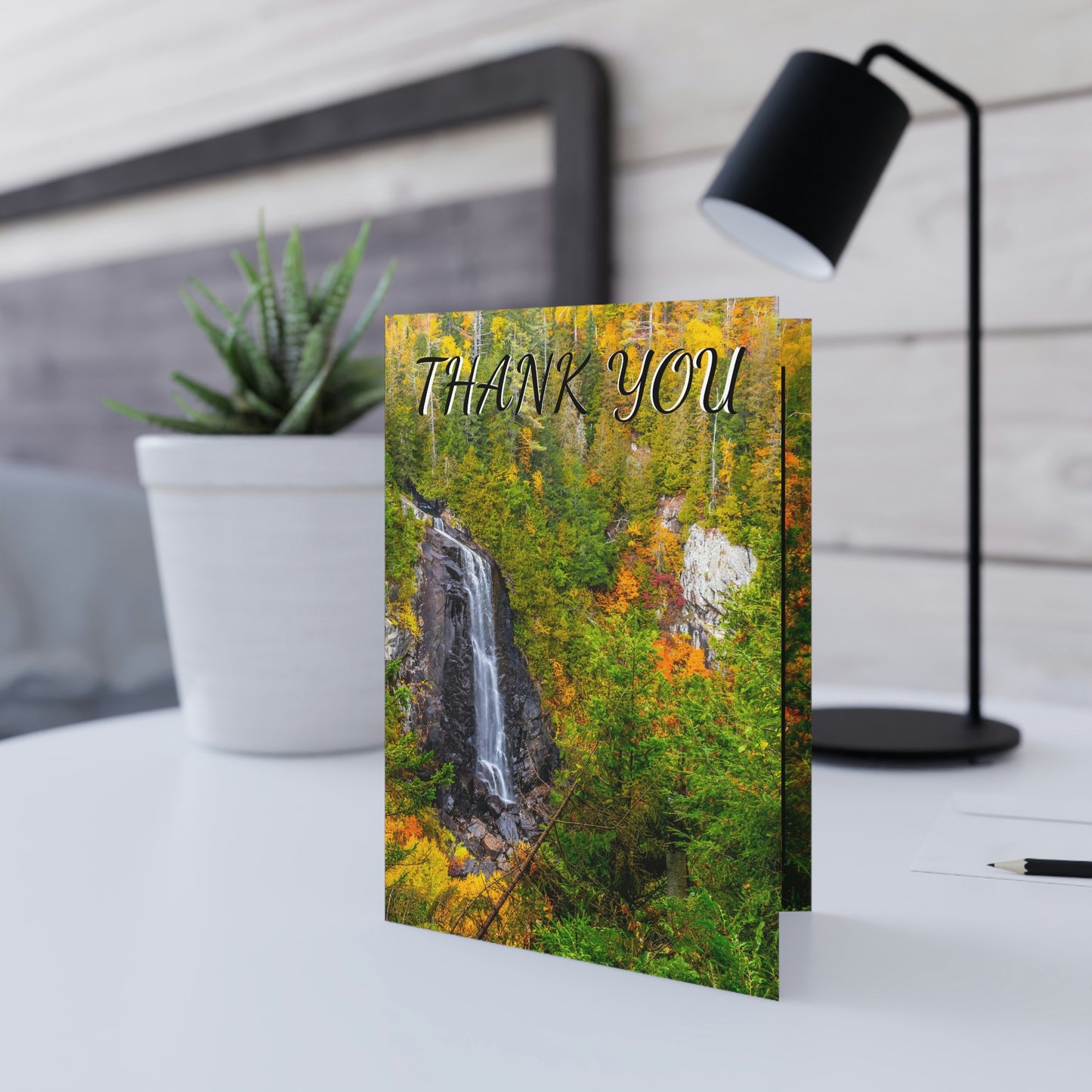 Greeting Cards