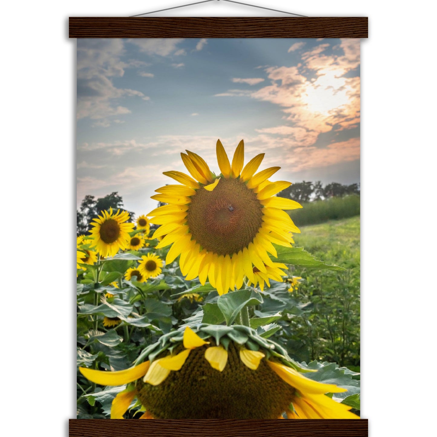 Museum-Quality Matte Paper Poster with Hanger