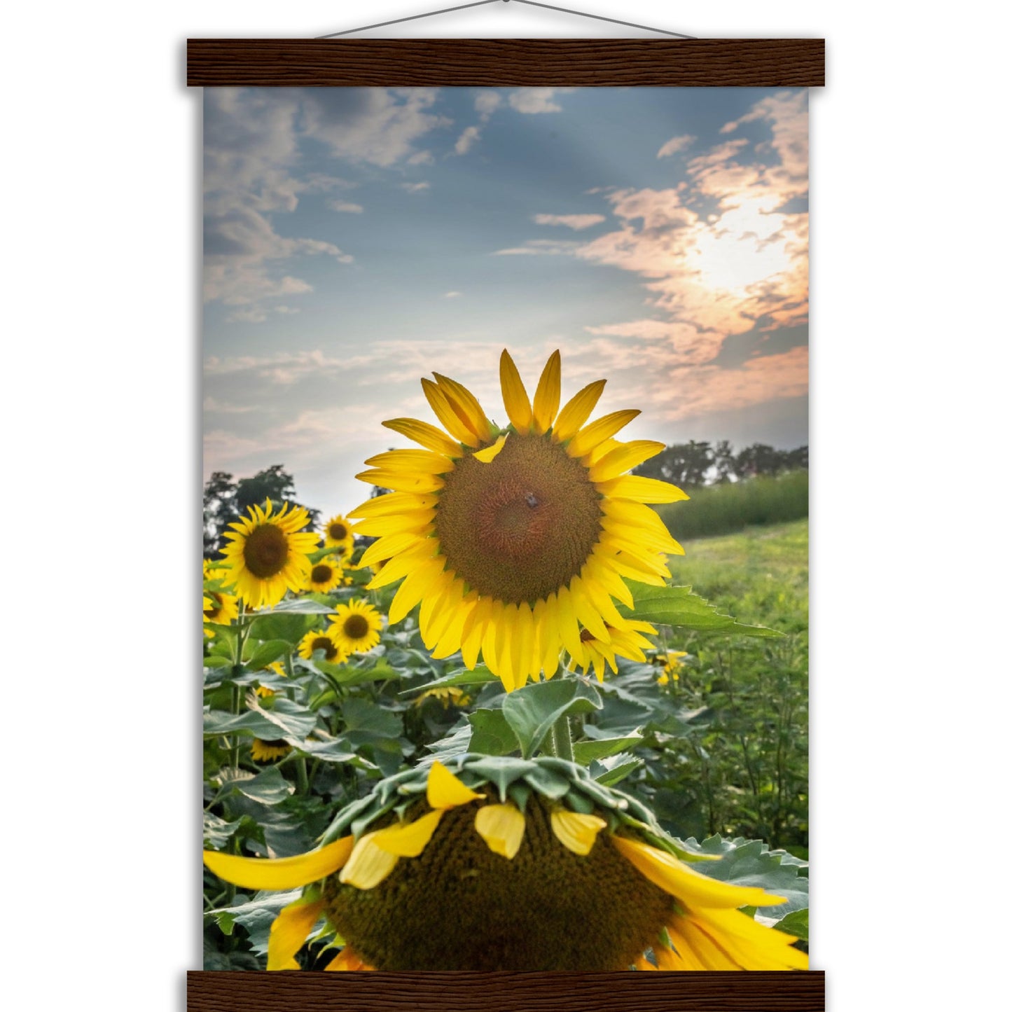 Museum-Quality Matte Paper Poster with Hanger