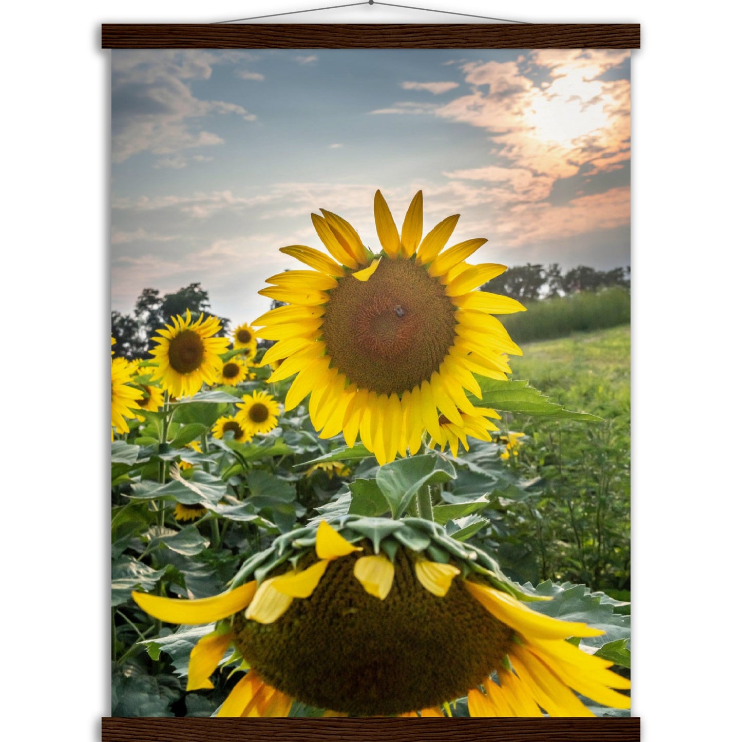Museum-Quality Matte Paper Poster with Hanger