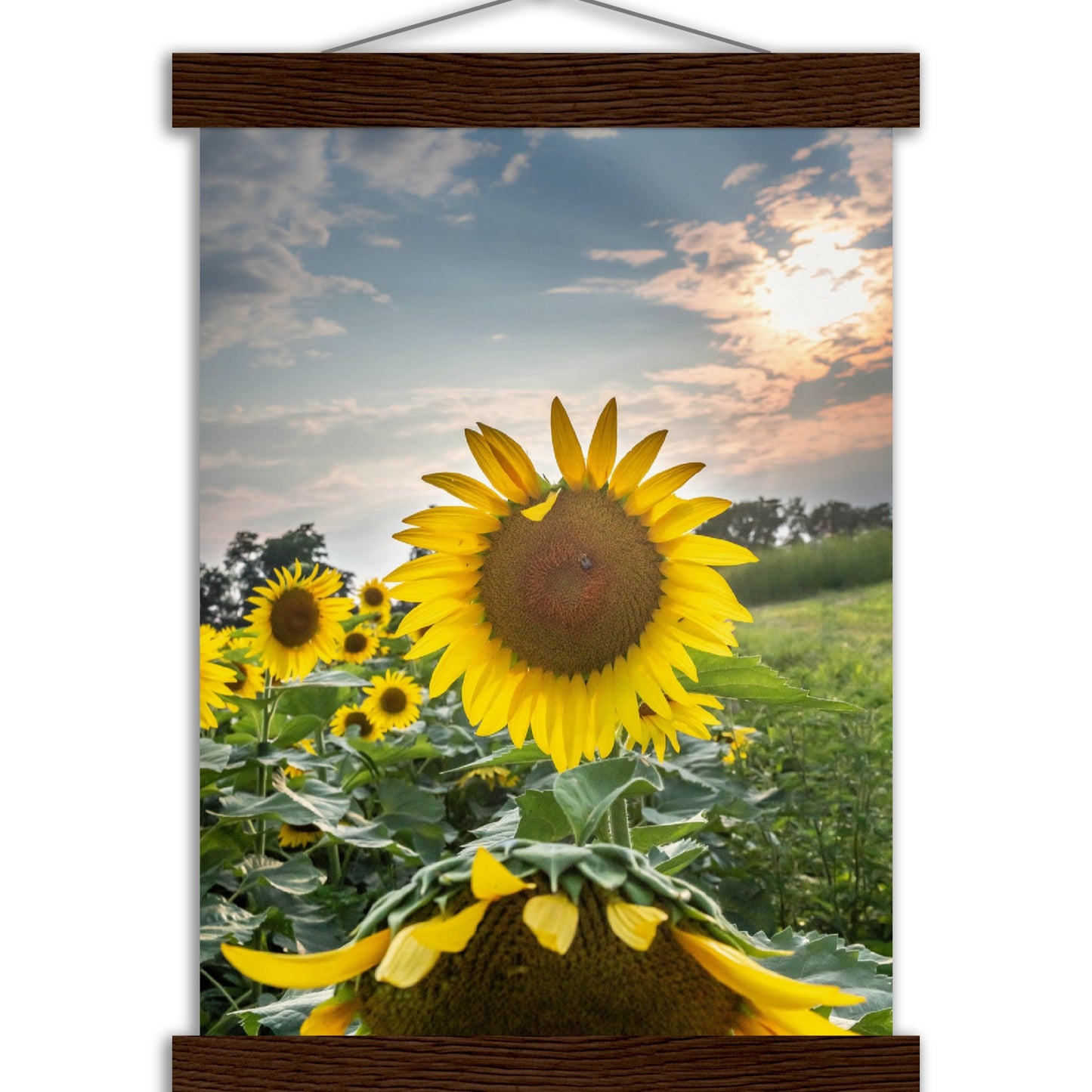 Museum-Quality Matte Paper Poster with Hanger