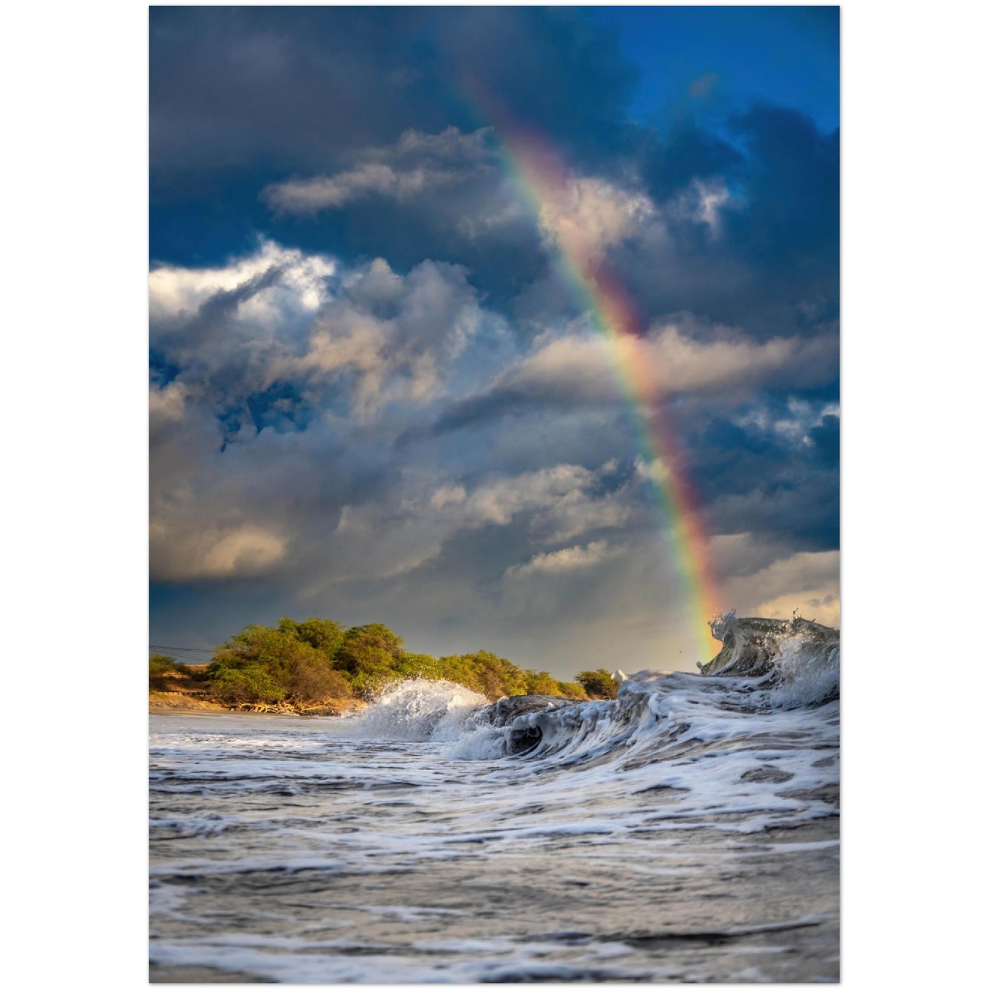 Hawaii Print Premium Matte Paper Poster