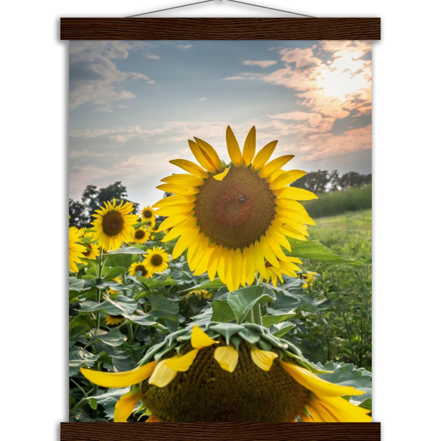 Museum-Quality Matte Paper Poster with Hanger