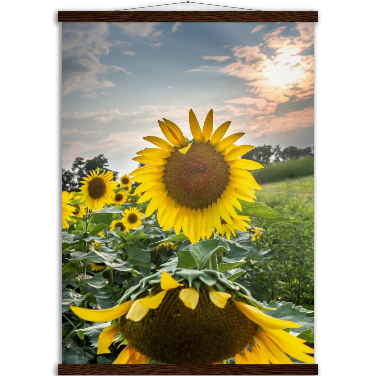 Museum-Quality Matte Paper Poster with Hanger