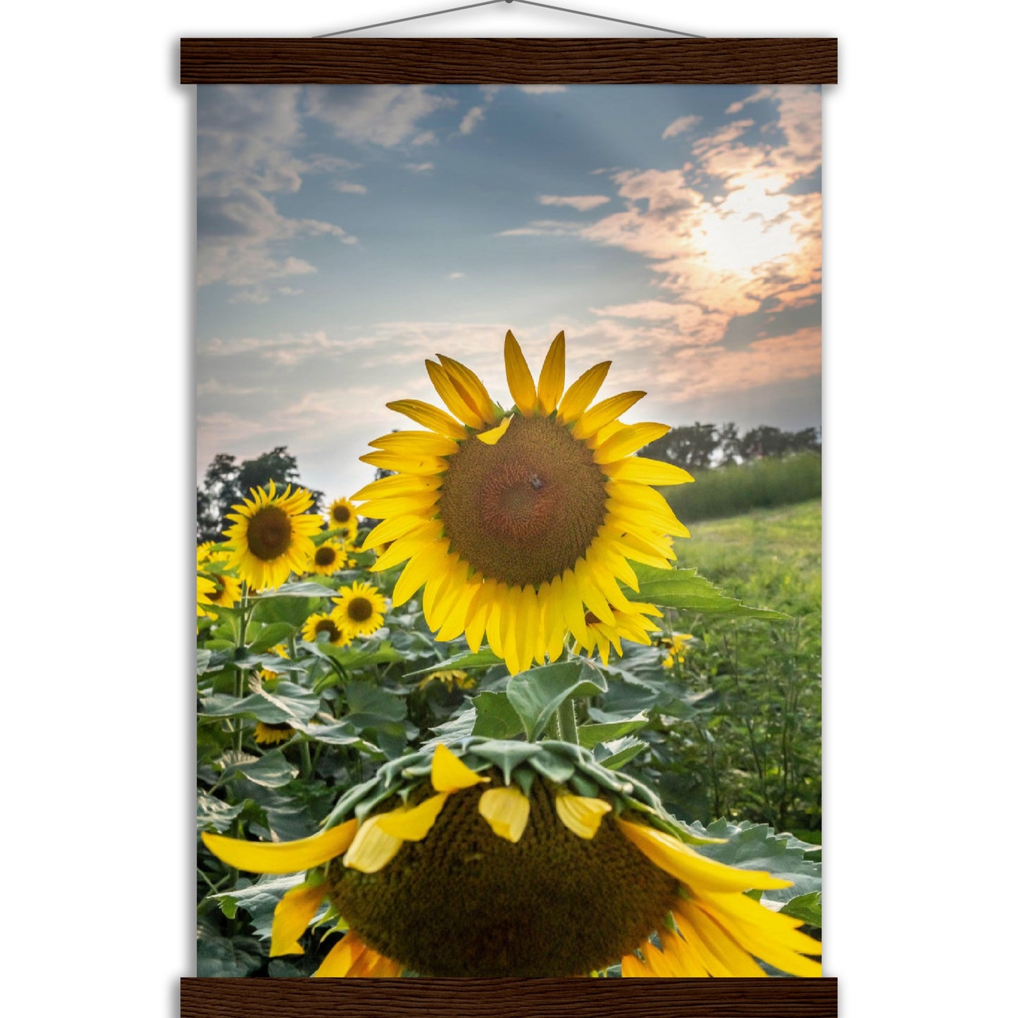Museum-Quality Matte Paper Poster with Hanger