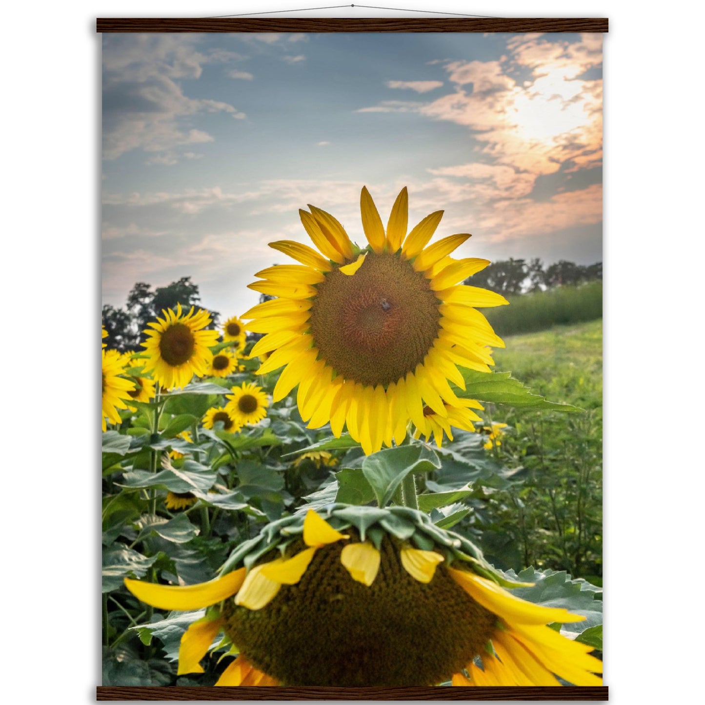 Museum-Quality Matte Paper Poster with Hanger