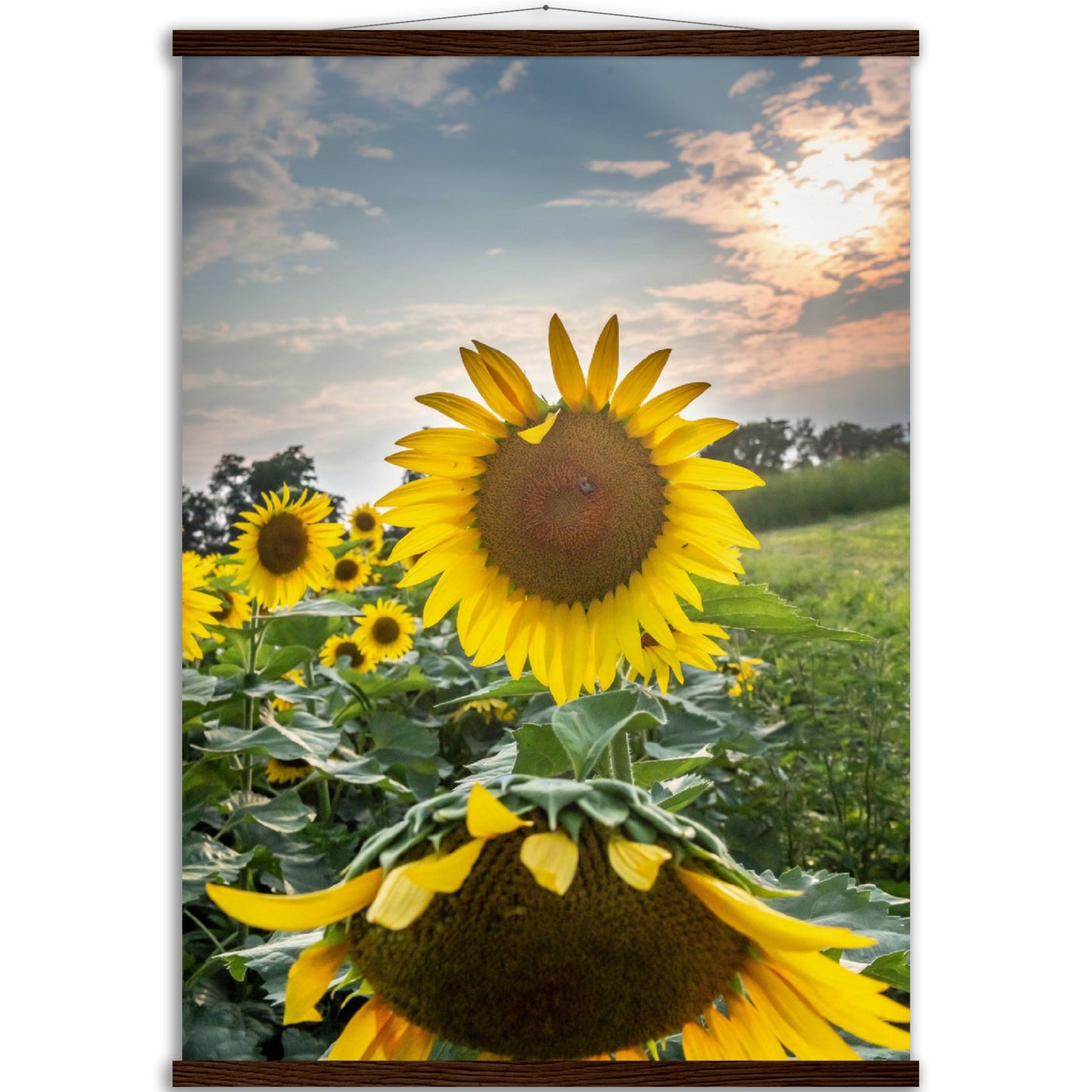 Museum-Quality Matte Paper Poster with Hanger