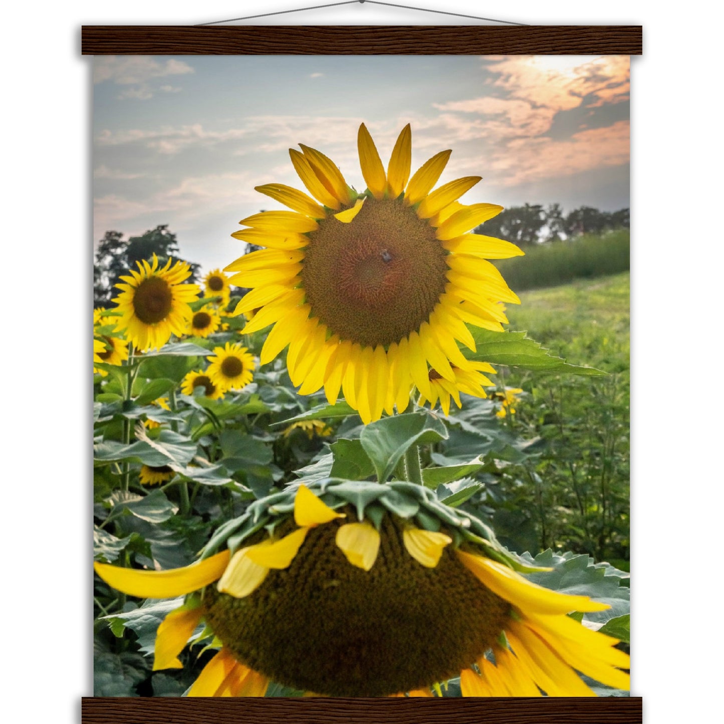 Museum-Quality Matte Paper Poster with Hanger