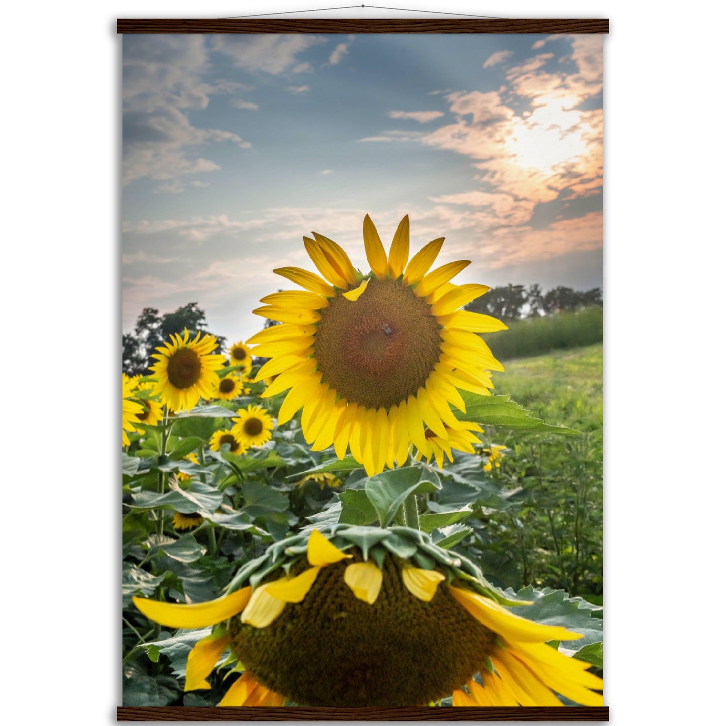 Museum-Quality Matte Paper Poster with Hanger