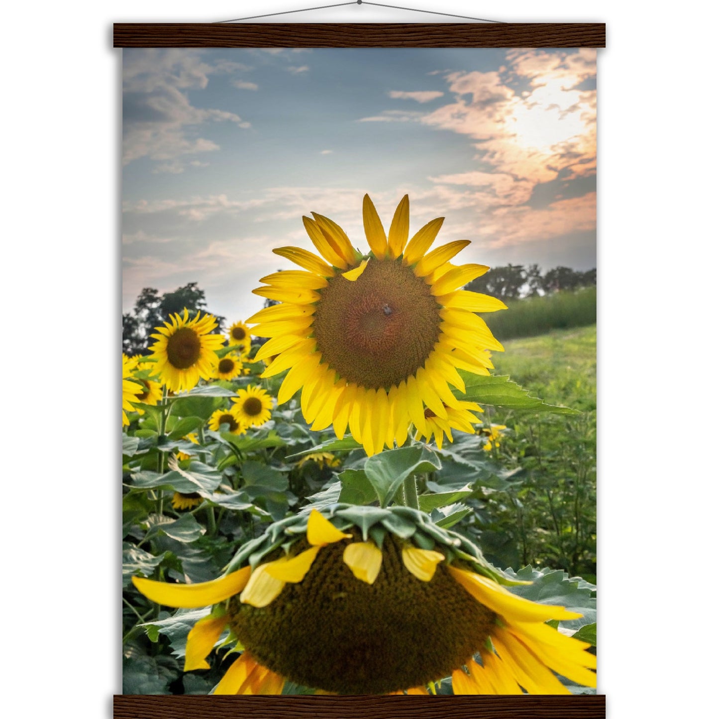 Museum-Quality Matte Paper Poster with Hanger