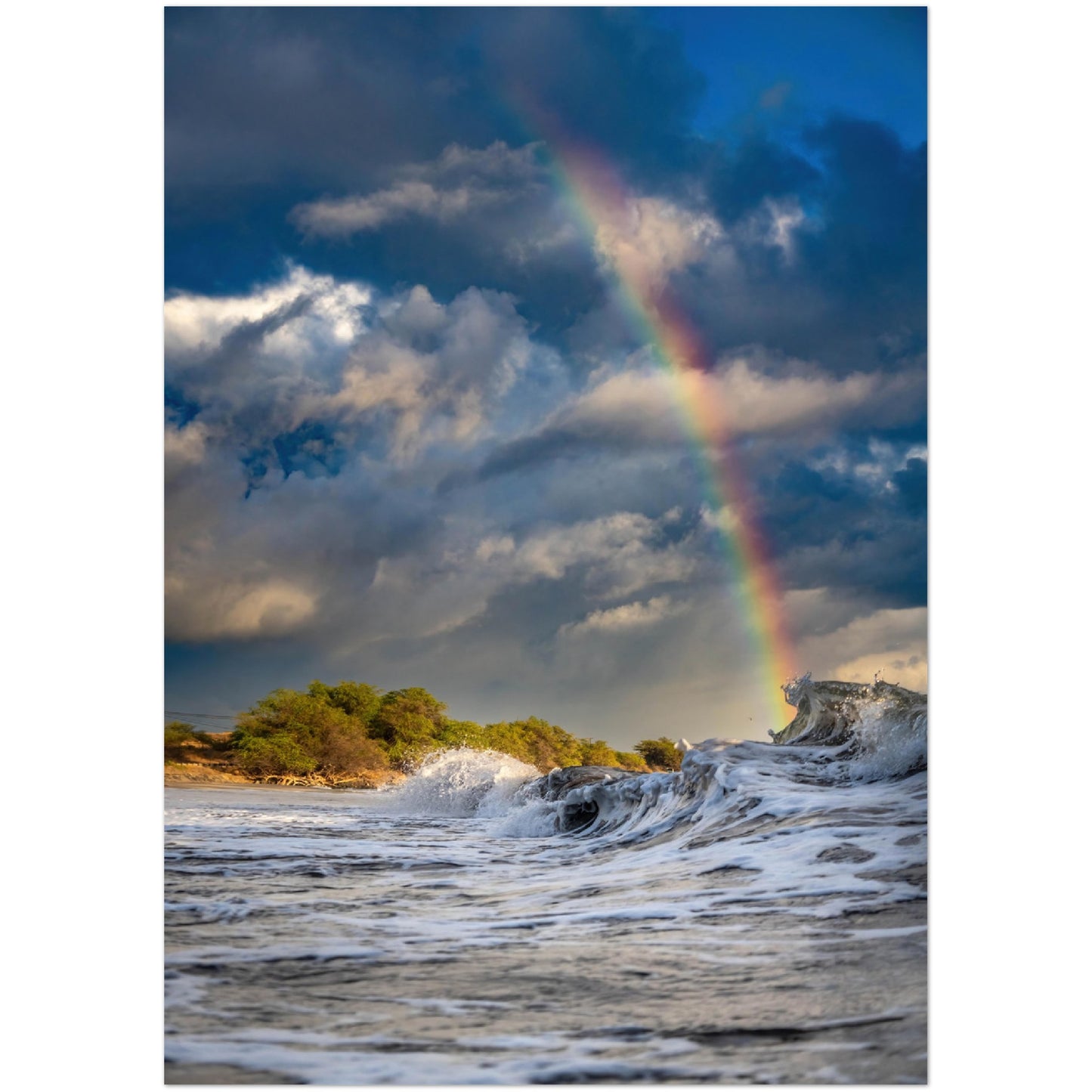 Hawaii Print Premium Matte Paper Poster