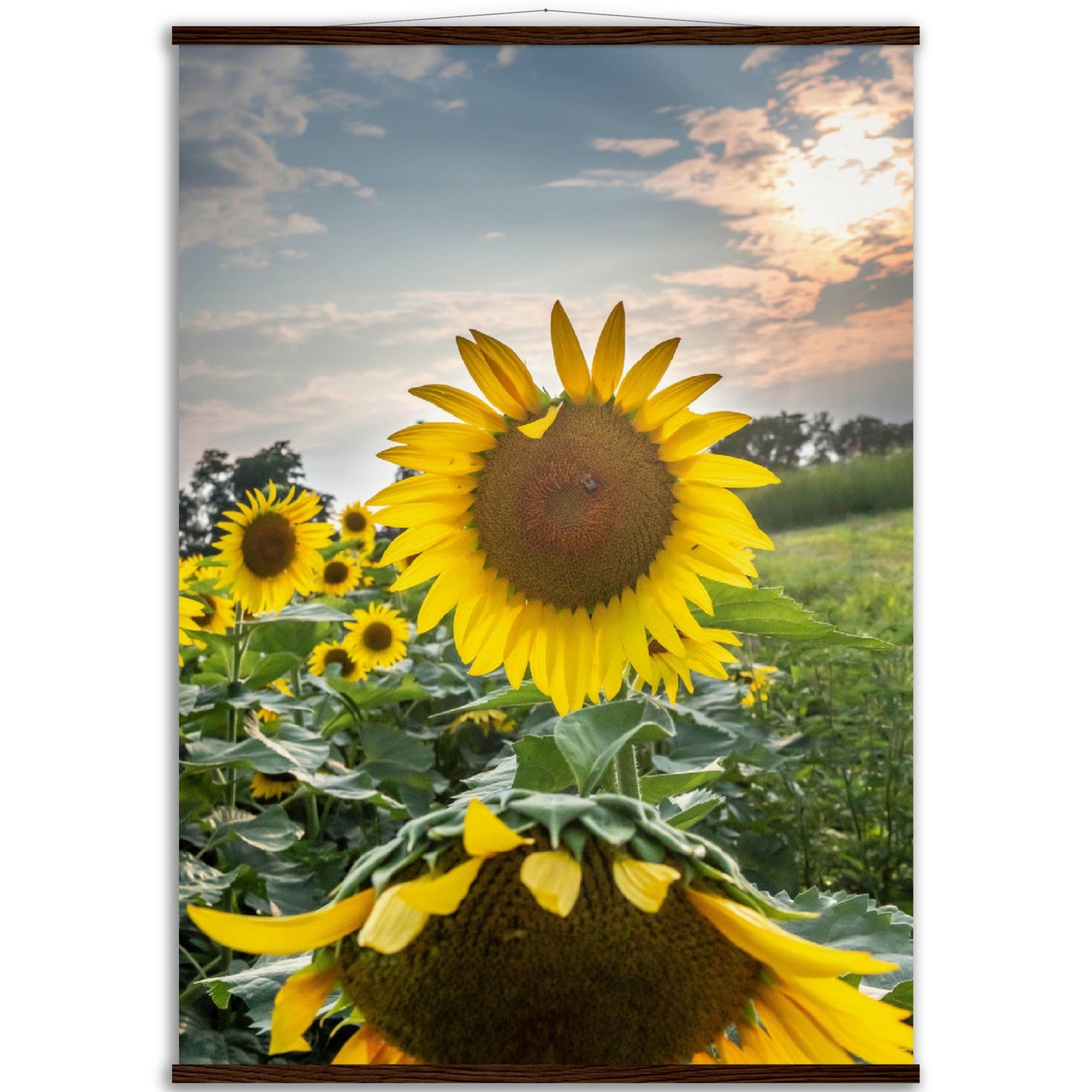 Museum-Quality Matte Paper Poster with Hanger