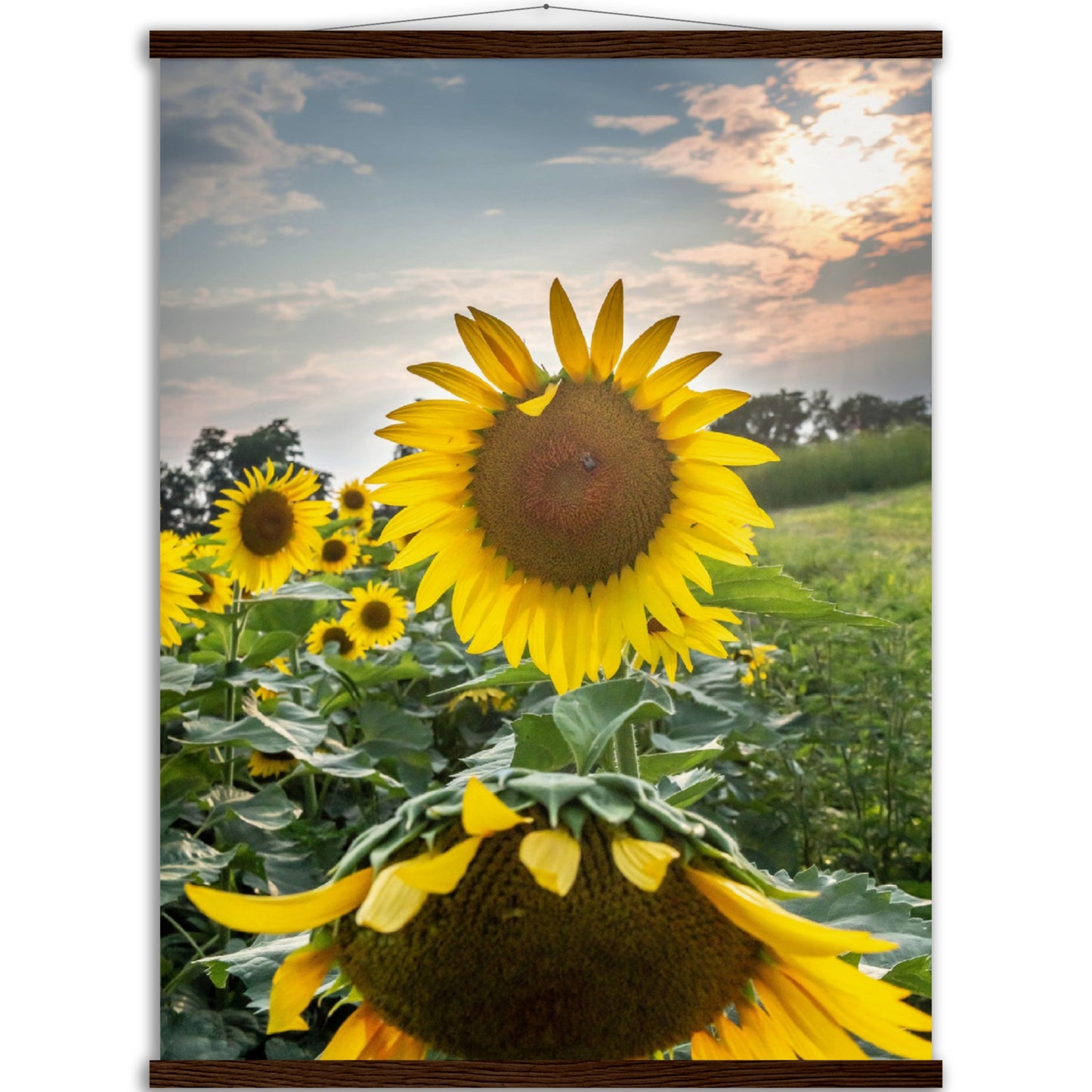 Museum-Quality Matte Paper Poster with Hanger