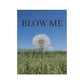 Garden Flag – Dandelion "Blow Me" Decorative Yard Banner
