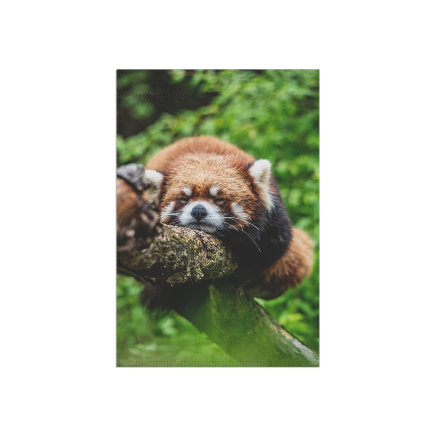 Red Panda Garden Flag — Cute Sleeping Red Panda Outdoor Banner for Yard & Porch