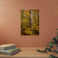 Autumn Nature Wall Art, Metal Print of Birch Tree, Rustic Home Decor, Fall Decoration, Woodland Photography, Nature Lover Gift