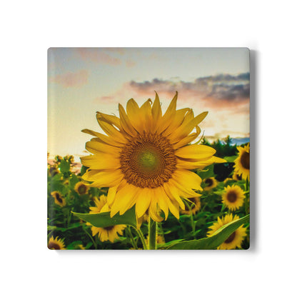Sunflower Field Ceramic Coaster — Bright Botanical Drink Coaster
