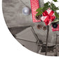 Christmas Tree Skirts