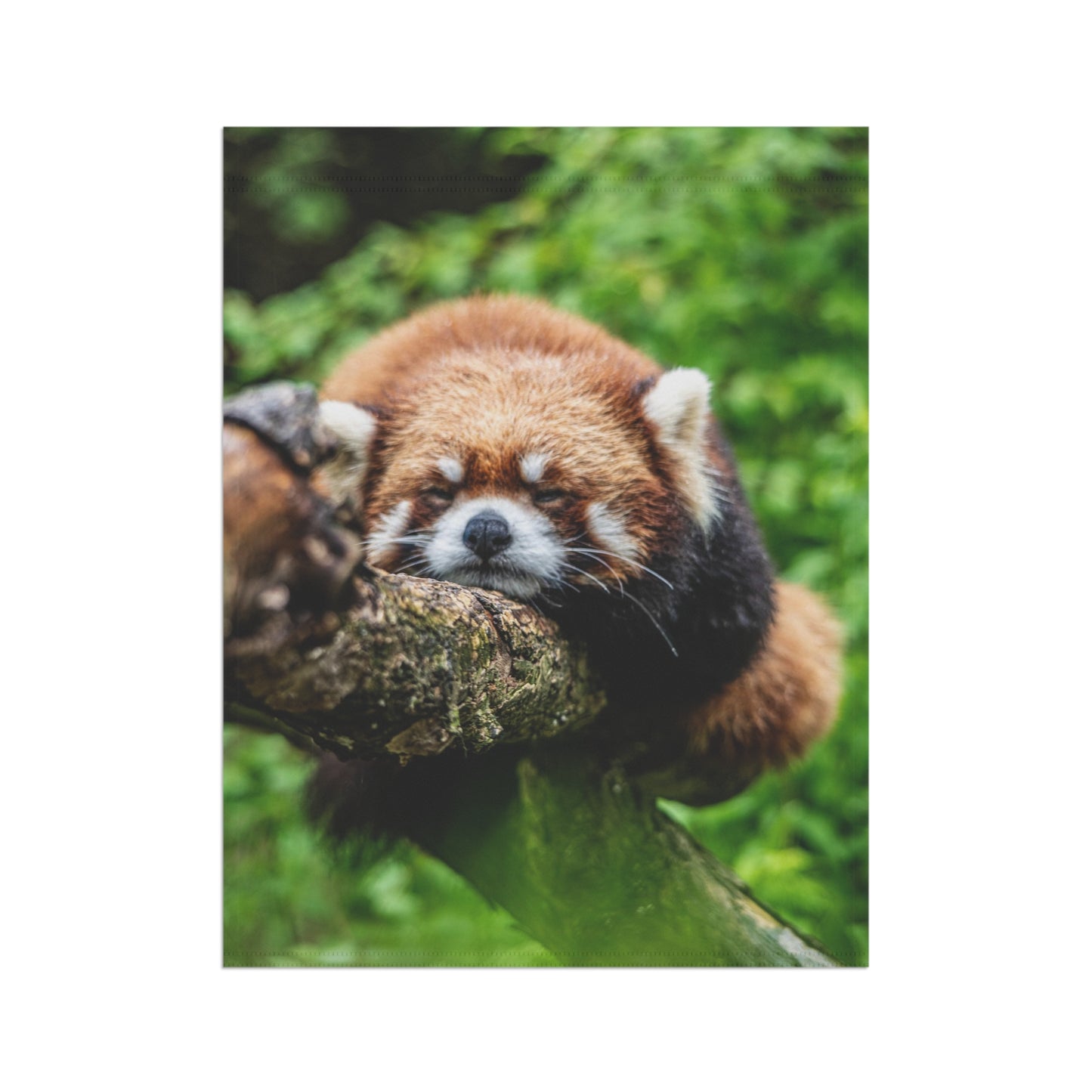 Red Panda Garden Flag — Cute Sleeping Red Panda Outdoor Banner for Yard & Porch