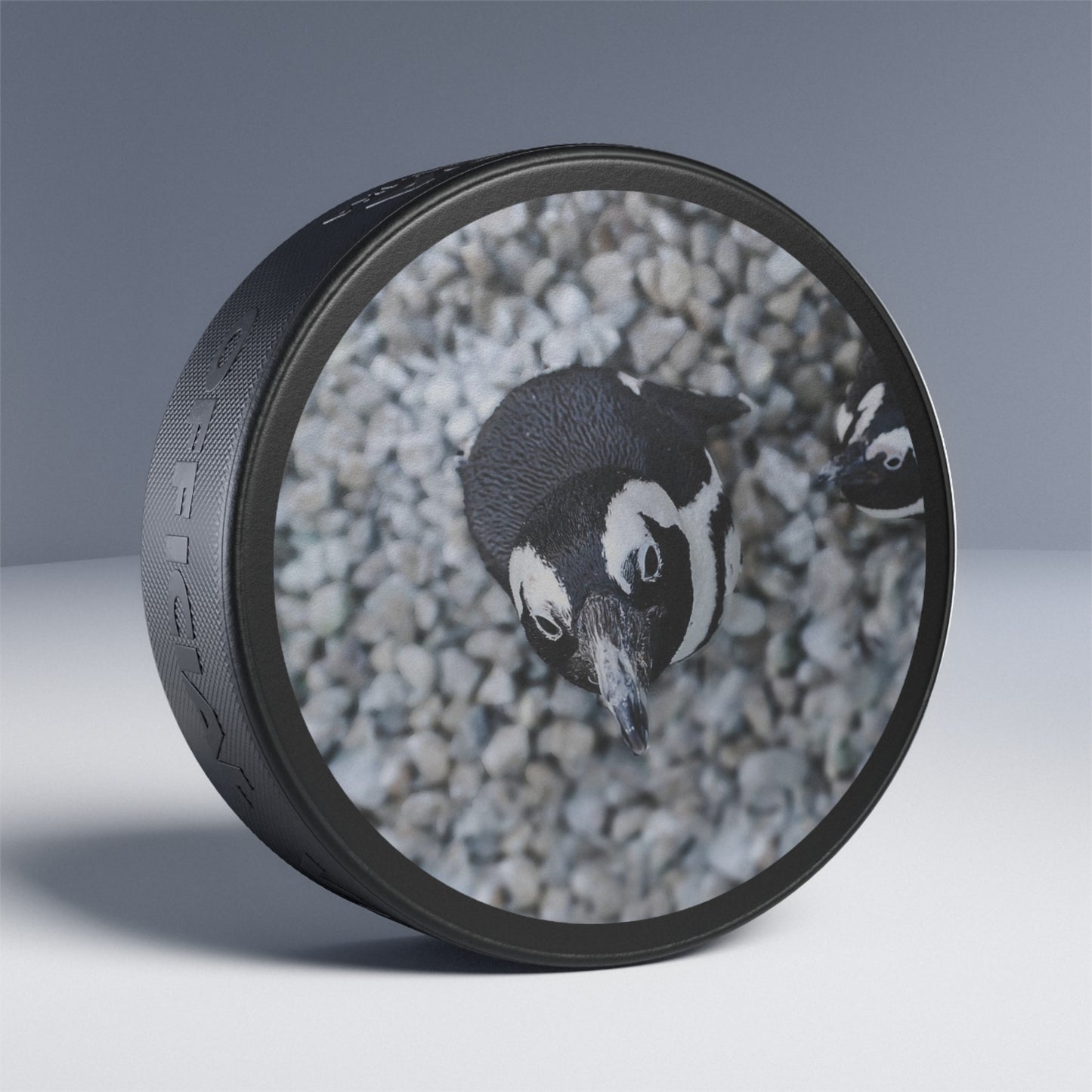 Hockey Puck