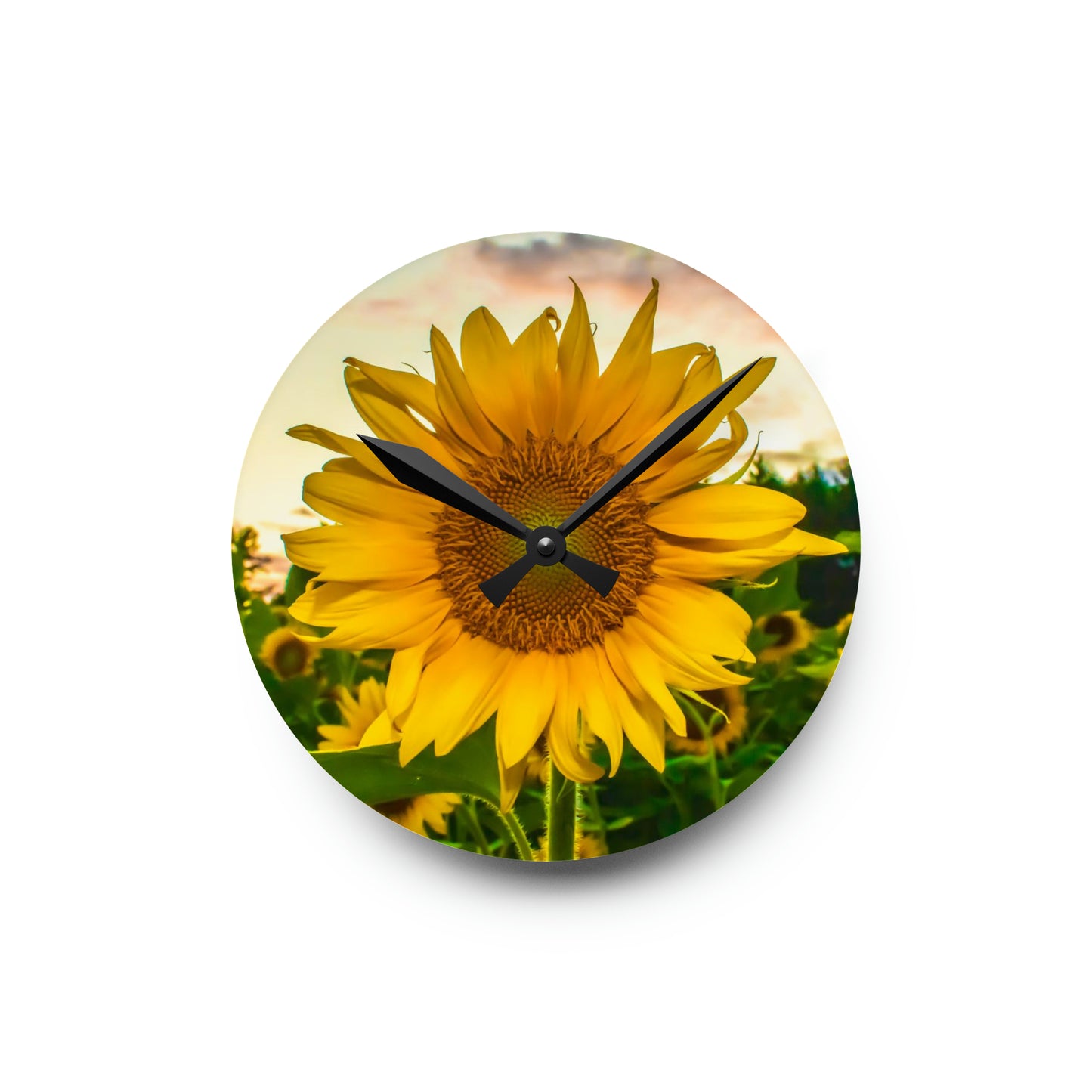 Sunflower Acrylic Wall Clock